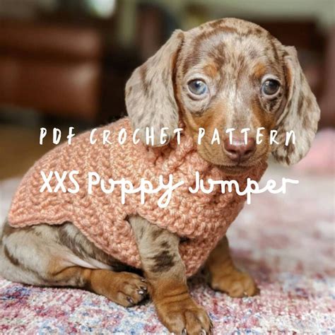 PDF CROCHET PATTERN Chihuahua Xxs Sweater Small Dog Kitten Tiny Jumper - Etsy