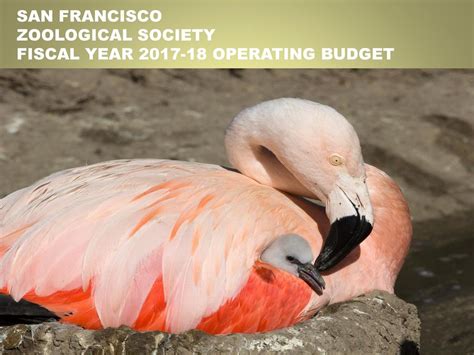 san francisco zoological society fiscal year operating budget