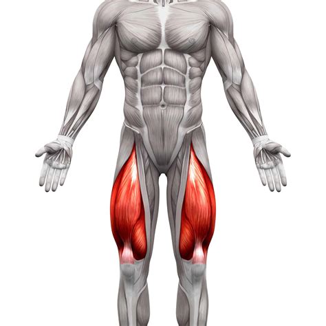 8 Bulgarian Split Squat Variations For Targeting Glutes & Quads | Nutritioneering