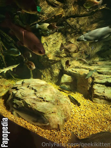 Geekikitten Nude OnlyFans Leaks - Photo #1147247 - Fapopedia