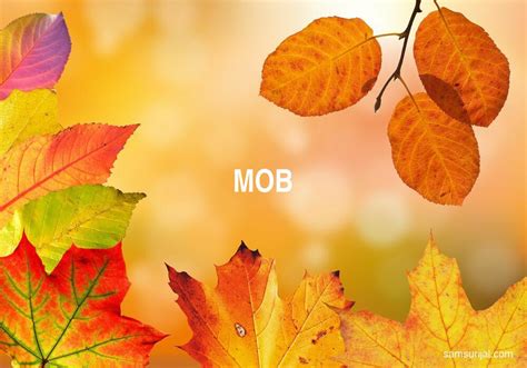 7 Arti Kata Mob - Kamus Bahasa Inggris Terjemahan Indonesia ...