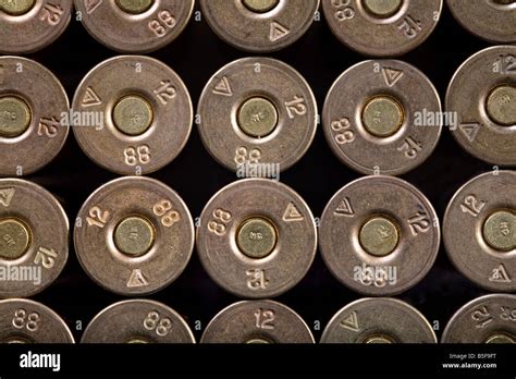 rows  bullets   caliber stock photo alamy