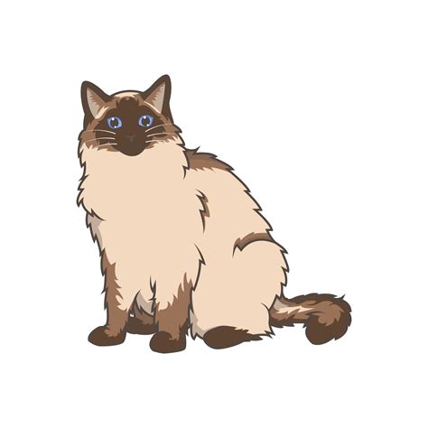 Discover adorable Ragdoll kittens. These high-quality illustrations