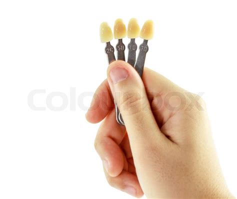 woman hand  shade guide teeth isolated  white backgrou colourbox