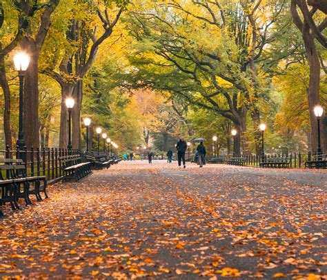 Central Park Bike Rental & 5h Manhattan Walking Tour - New York Top ...