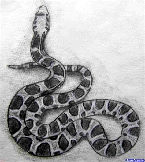 Snake Drawings In Pencil at PaintingValley.com | Explore collection of Snake Drawings In Pencil