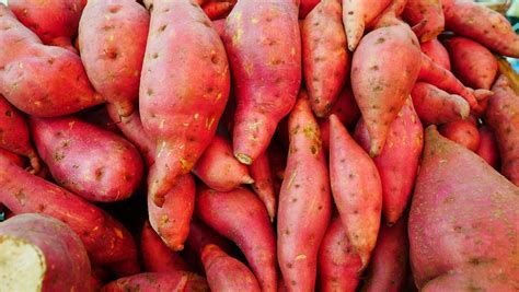 sayuran  bagus  ibu menyusui bayam hingga wortel