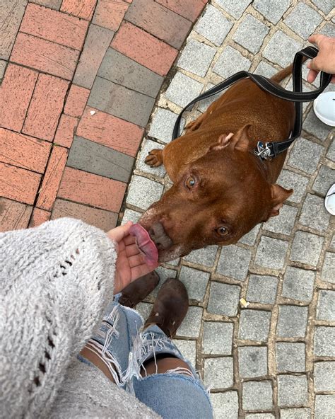 Cool Beans Coffee | Marietta GA