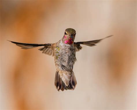 Anna+Funmi+слив+видео Photos, Download The BEST Free Anna+Funmi+слив