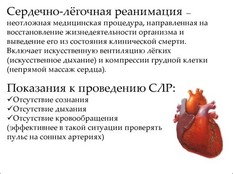 Сердечно лёгочная реанимация - презентация онлайн