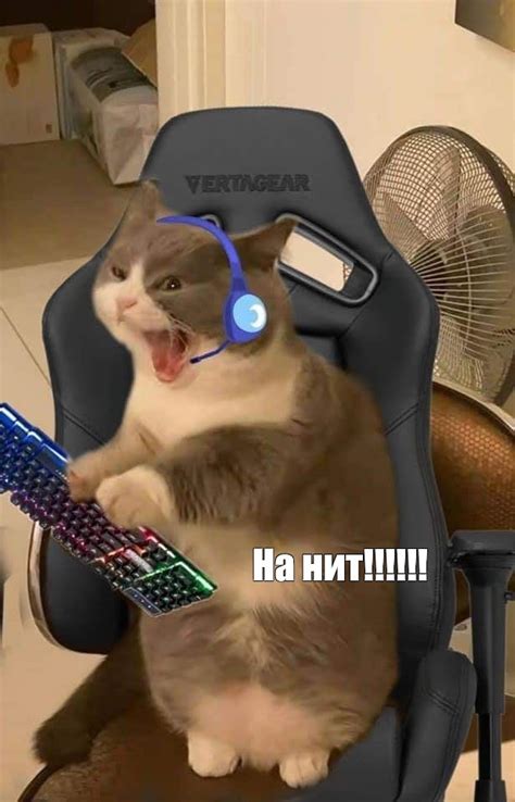 Мем: "На нит!!!!!!" - Все шаблоны - Meme-arsenal.com