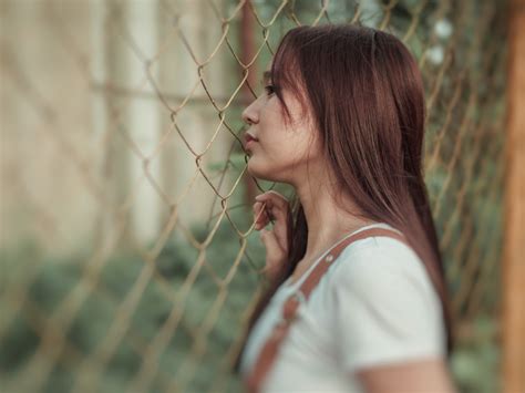 grilles en acier rigide  grilles galvanisees rigides le guide