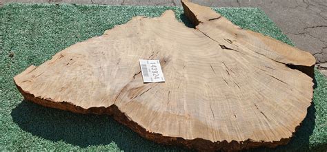 Bay Laurel Burl # 143921 – Pacific Slabs