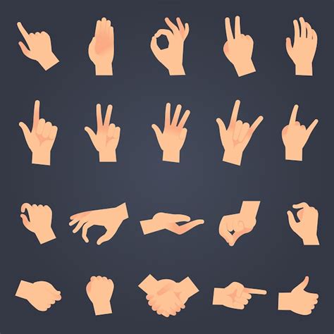 premium vector hand position set
