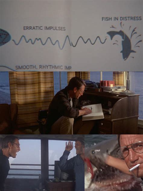 In Jaws (1975), Chief Brody reads early in the film that sharks respond