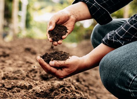 Soil Conservation Nj at Marshall Hite blog