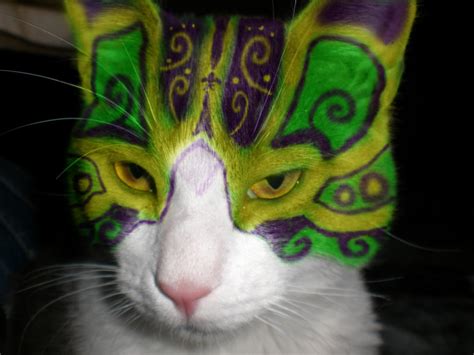 mardi gras cat by gravedesires777 on DeviantArt