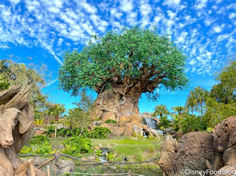 Disneys Animal Kingdom
