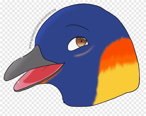 Penguin Water bird Beak, Penguin, blue, animals png | PNGEgg