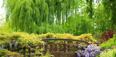 willow grove advisors bay area wealth management firm  professionals