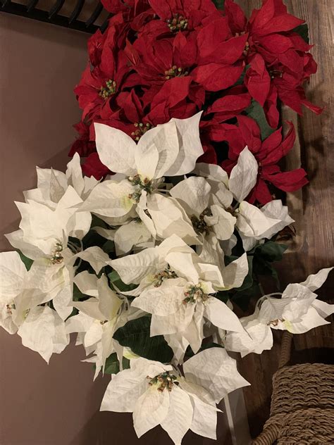 Lisa and Company | Bedford NH