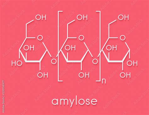 Amylopectin Structure