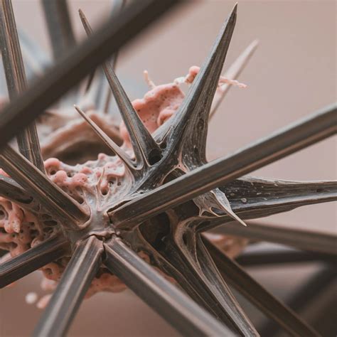 Physiological Effects → Term