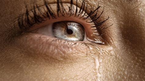 Tears Images – Browse 1,623,922 Stock Photos, Vectors, and Video