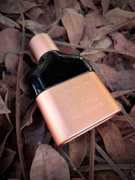 1920 The Origin Tous Colônia - a fragrância Masculino 2017