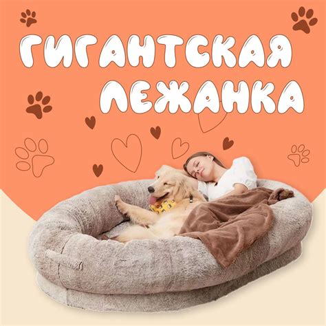 Собачья кровать лежанка для человека купить на OZON по низкой цене ...