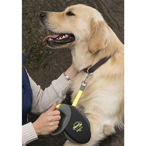 Flexi Giant XL 8 m | Gurt-Leine für grosse Hunde