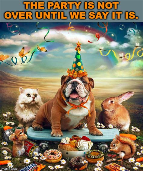 Party Animals - Imgflip
