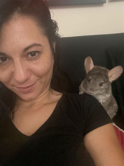 best chinchilla making noise without vet 5