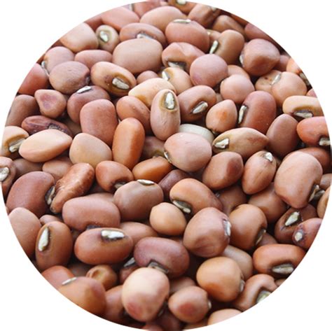 pulses beans raizen commodities