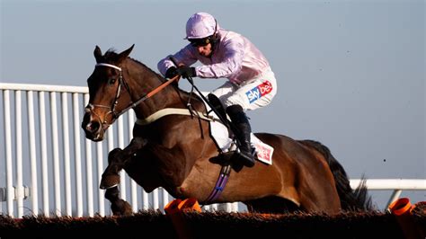 Ben Pauling stable tour ahead of the start of the National Hunt season