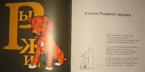 Книга: Черный, белый и рыжий - Андрей Усачев. Купить книгу, читать ...
