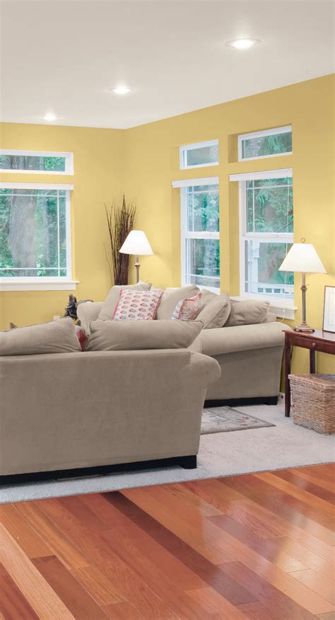 soothing colours    spotlight  year  cil paint