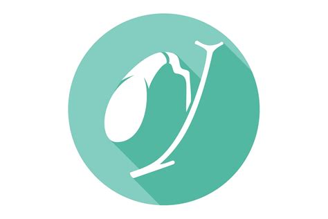 What Organs Can You Actually Live Without? | The Healthy