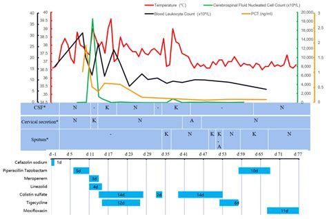 Treatment of Central Nervous System Infection Caused by Multidrug