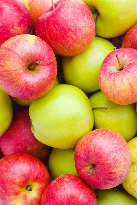 How To Identify Type Of Apple Tree at Ester Gordan blog