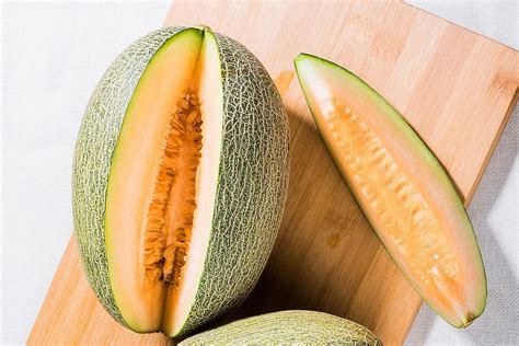 bedanya buah blewah  melon