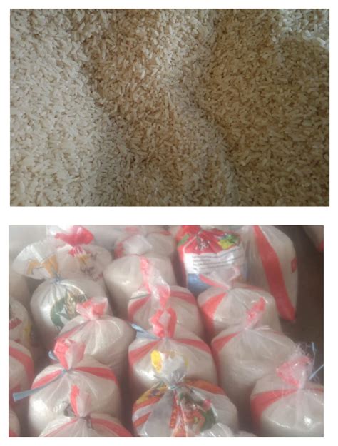 cara menghitung hasil panen padi 2