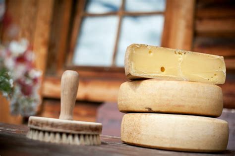 il formaggio protagonista della vacanza  alto adige agoranews