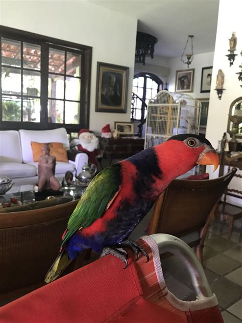 61 best Bahia Brazil images on Pholder | History Porn, Earth Porn and