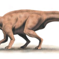 Dinosaur Flesh and Bones | Howtosmile