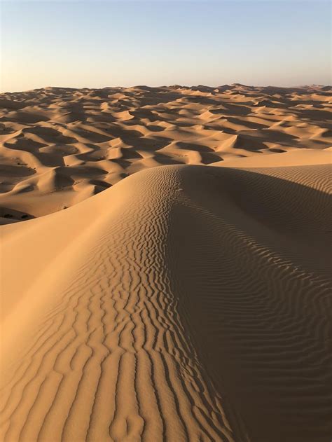 pin  abs abdulrahman kibaida su transformational holistic farm deserti