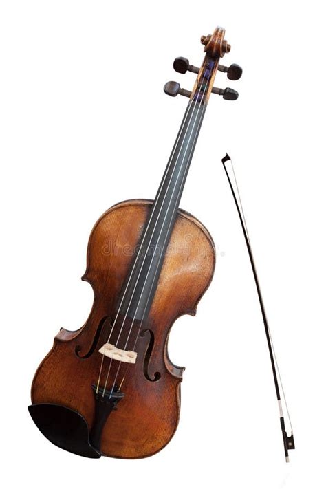 violoncello stock photo image  brown object cello