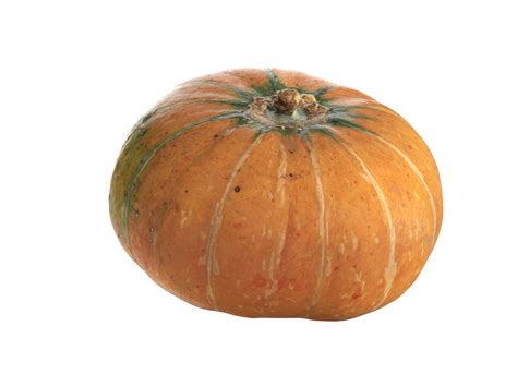 pumpkin   model cgtrader