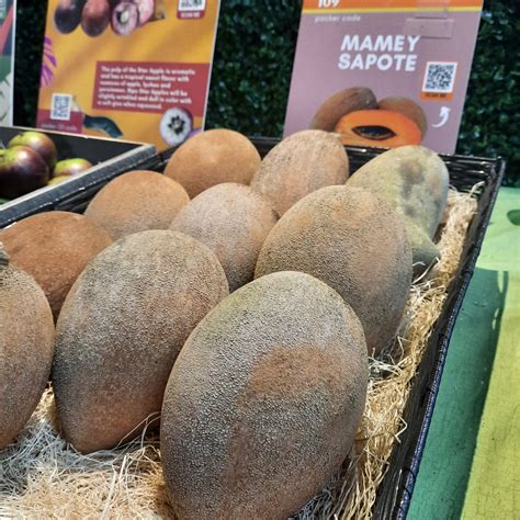 Mamey Sapote Information, Recipes and Facts