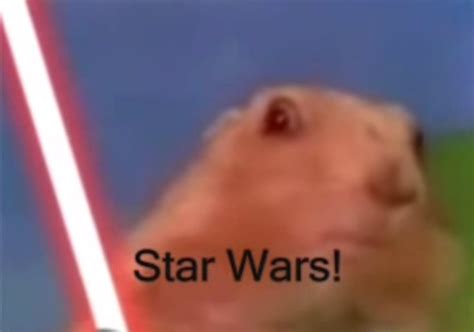 Dramatic Look Chipmunk Gives Us His Best | Dramatic look, Dramatic ...